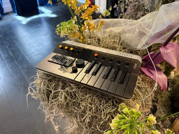 I went to Kevin Parker's Orchid pop-up shop